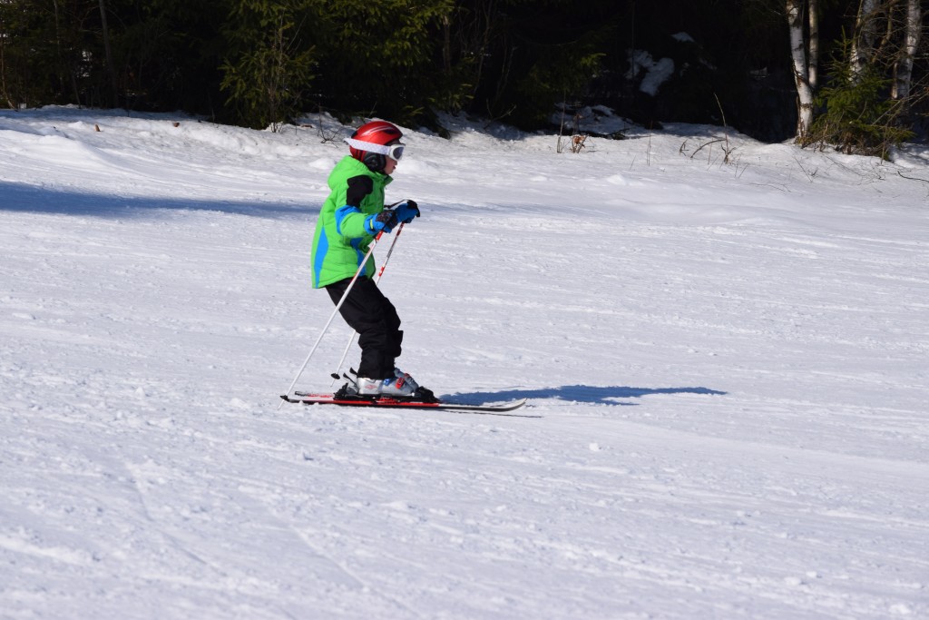 DSC_0184.jpg