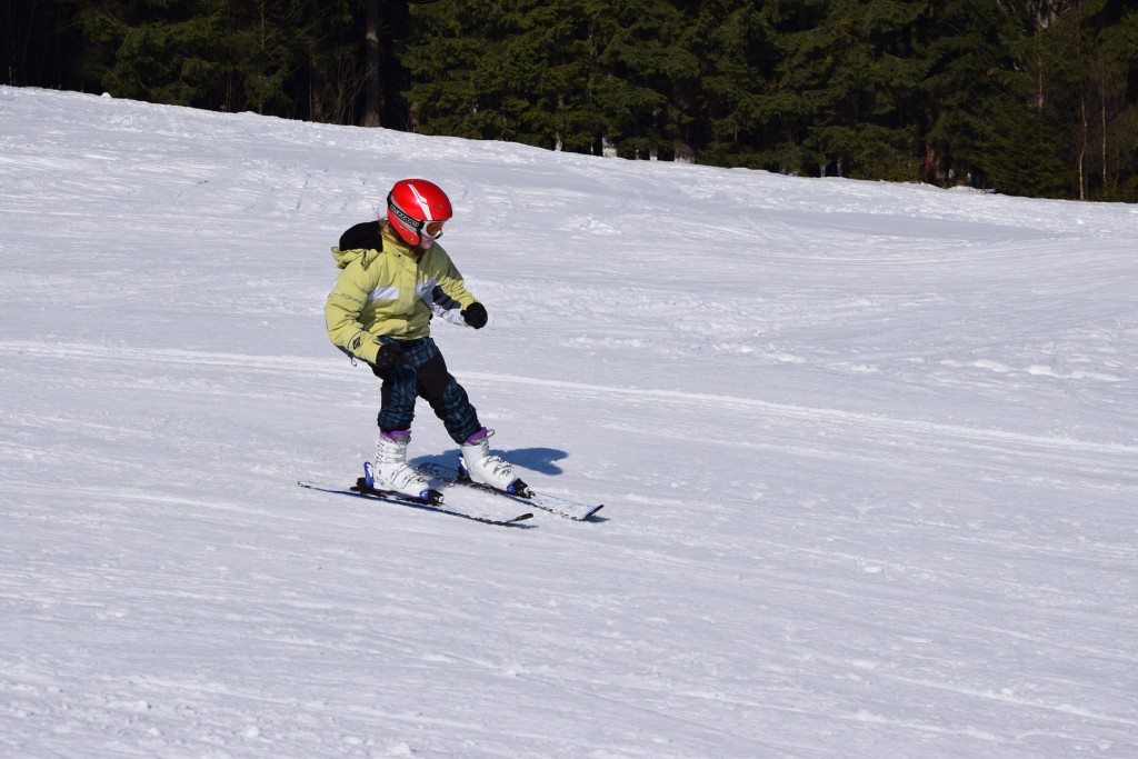 DSC_0203.jpg