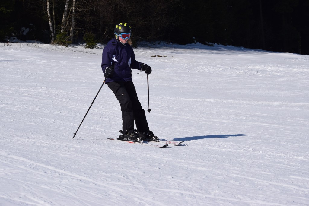 DSC_0211.jpg