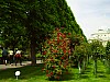 PICT0502.jpg