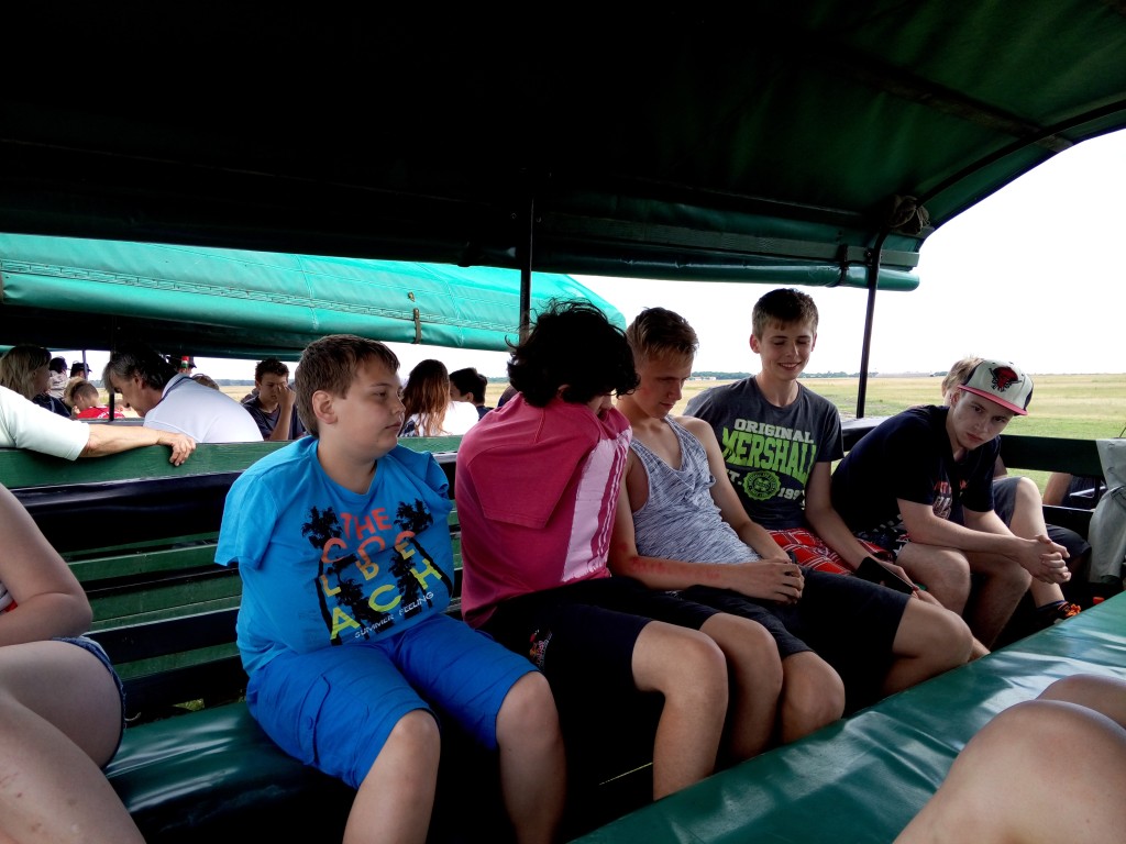 P60615-151320.jpg