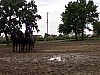 P60615-140750.jpg
