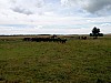 P60615-142741.jpg
