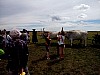 P60615-144413.jpg