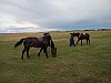 P60615-151303.jpg