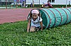DSC_0237.jpg