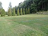 DSC02555.jpg