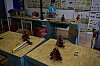 DSC_0106.jpg