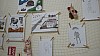 IMG_20161121_172724.jpg
