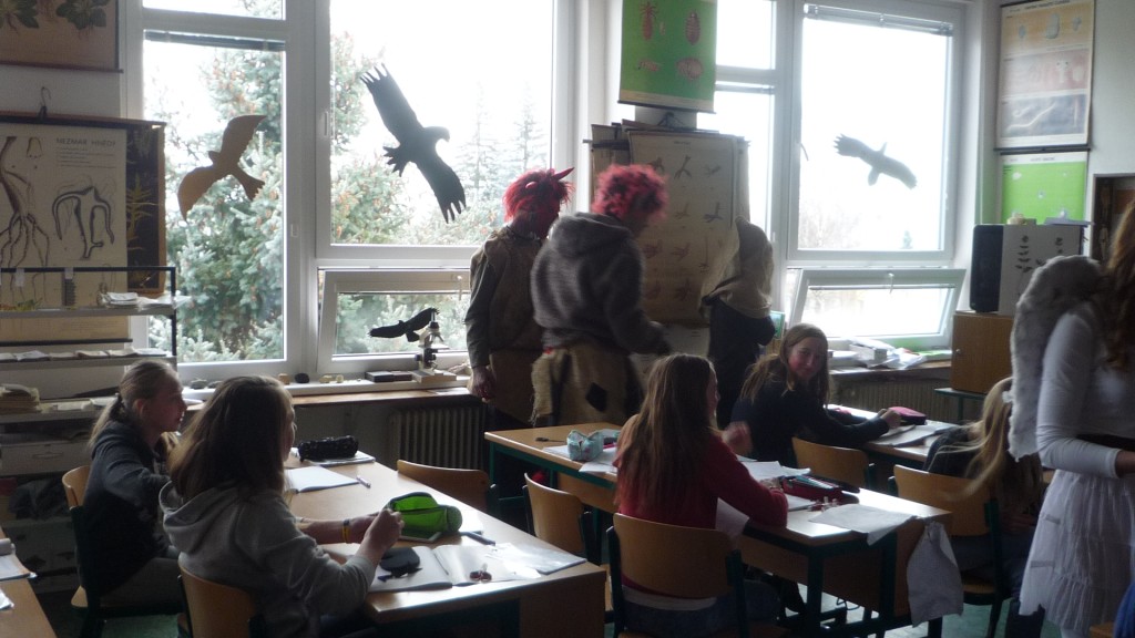 P1070159.jpg