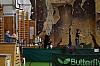 DSC_0299.JPG