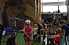 DSC_0337.JPG