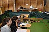 DSC_0381.JPG