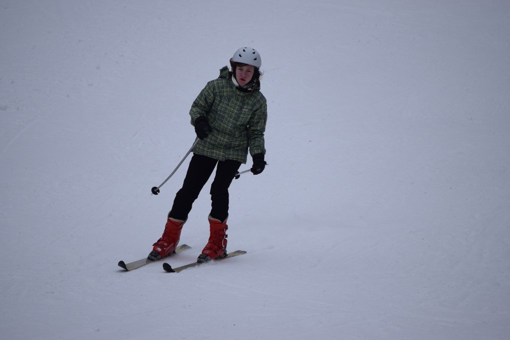 DSC_0595.jpg