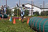 zahradni_slavnost_2017_007.jpg