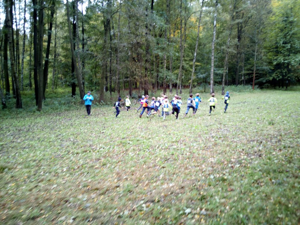 IMG_20171004_092458.jpg