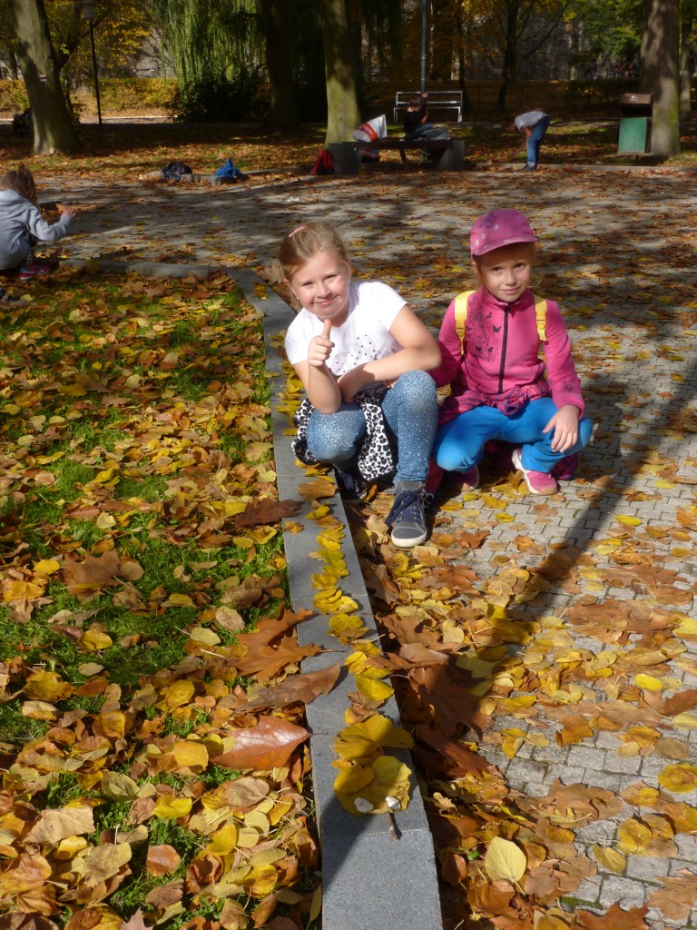 P1120410.jpg