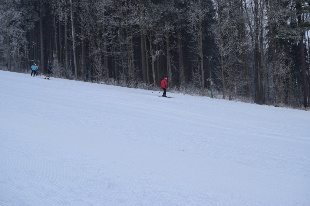 DSC_0107.jpg
