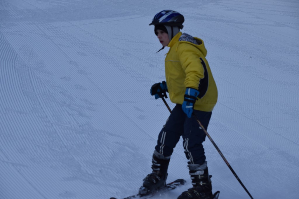 DSC_0161.jpg