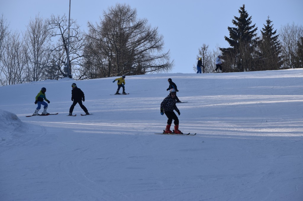 DSC_0203.jpg