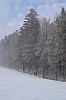 DSC_0092.jpg