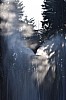 DSC_0194.jpg