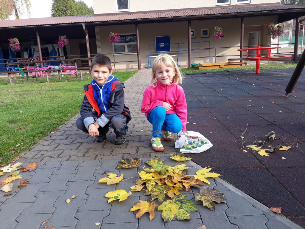 20171018_095029.jpg