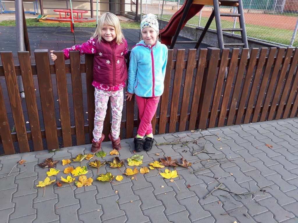 20171018_095138.jpg