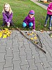 20171018_094934.jpg