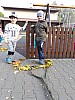 20171018_095112.jpg
