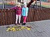 20171018_095138.jpg