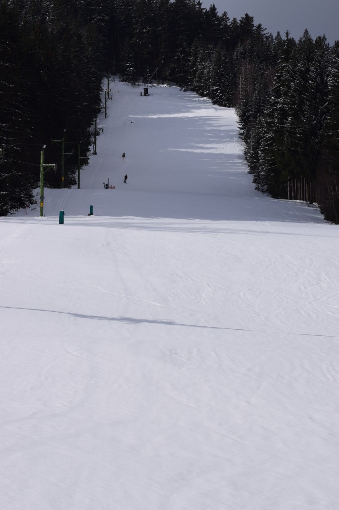 DSC_0115.jpg