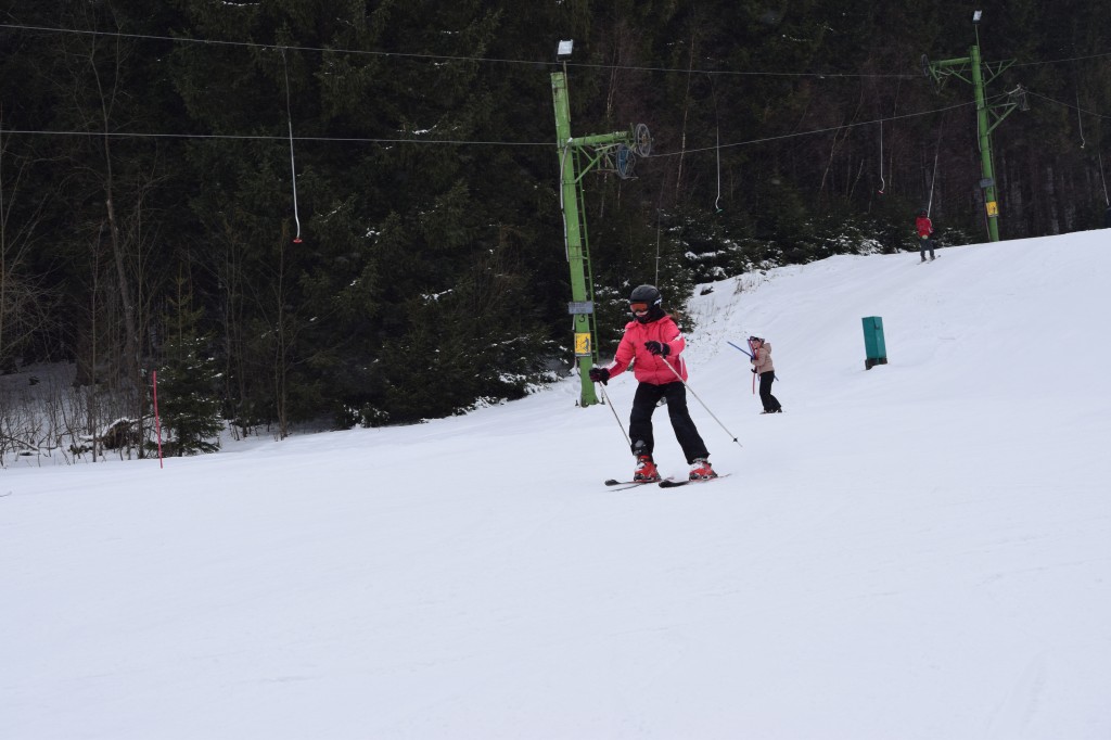 DSC_0130.jpg