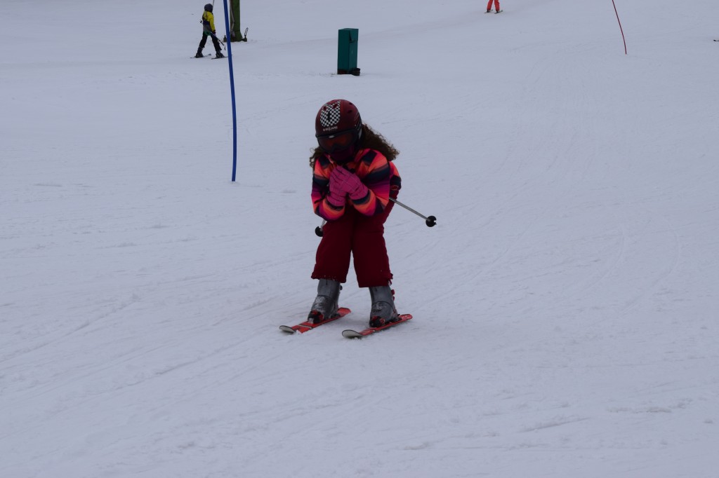 DSC_0193.jpg