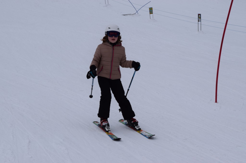 DSC_0206.jpg
