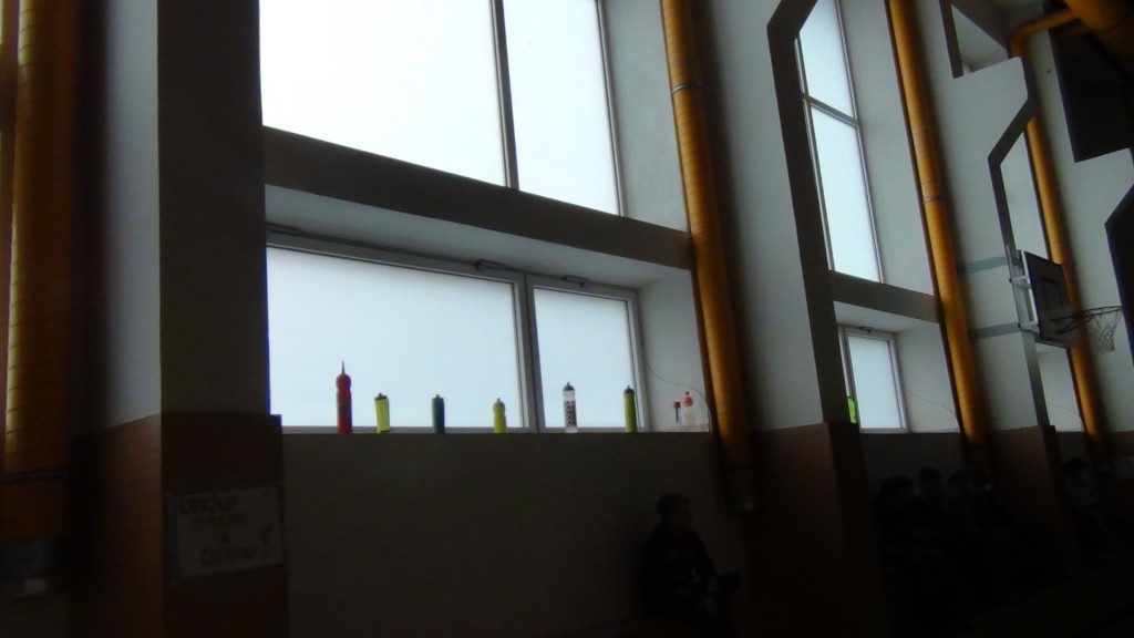 DSC00393.jpg