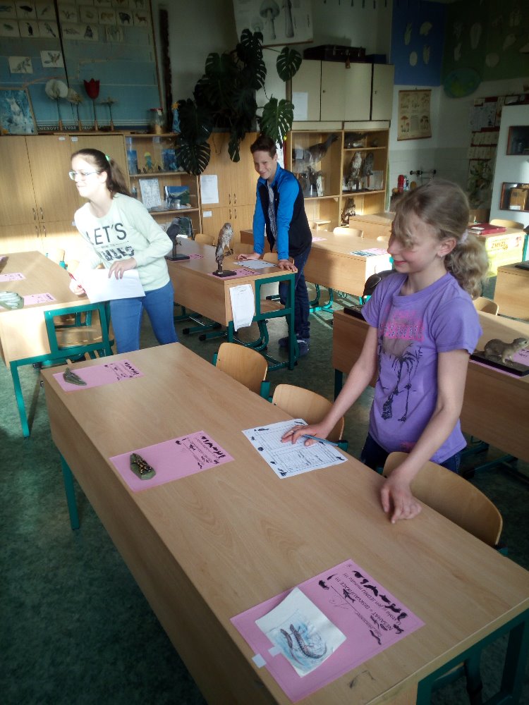 IMG_20180412_080135.jpg