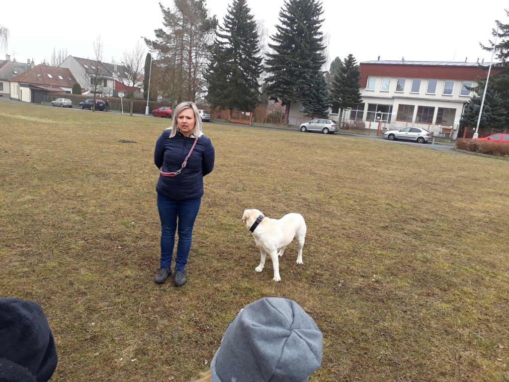 20180327_083653.jpg