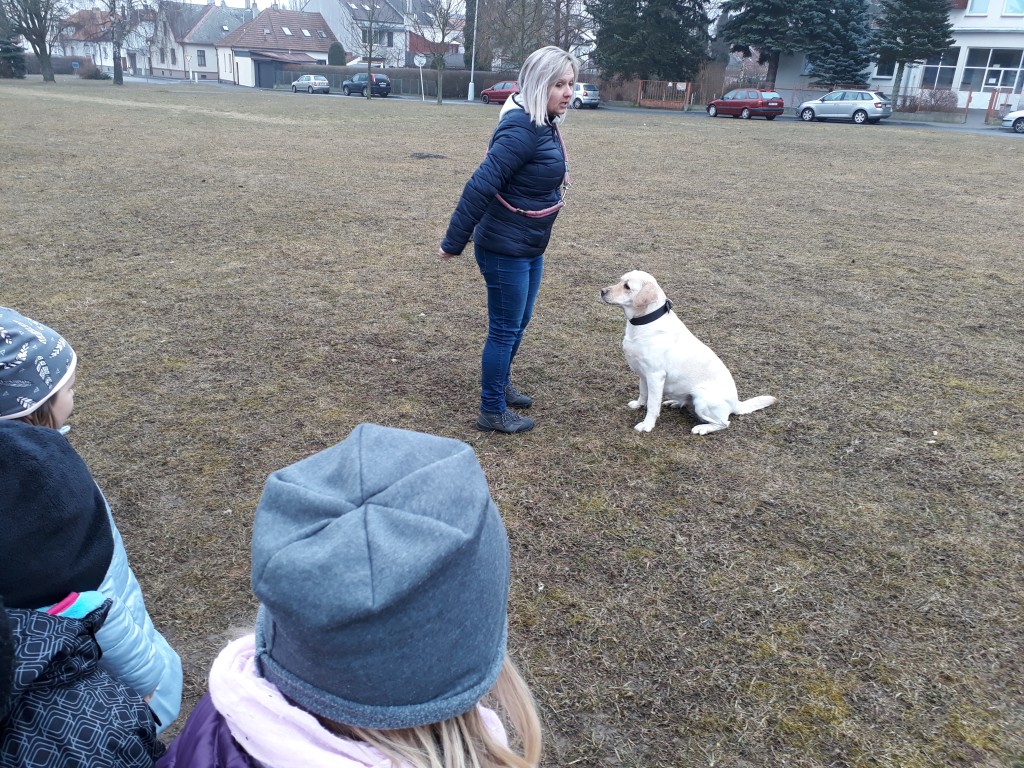 20180327_083701.jpg