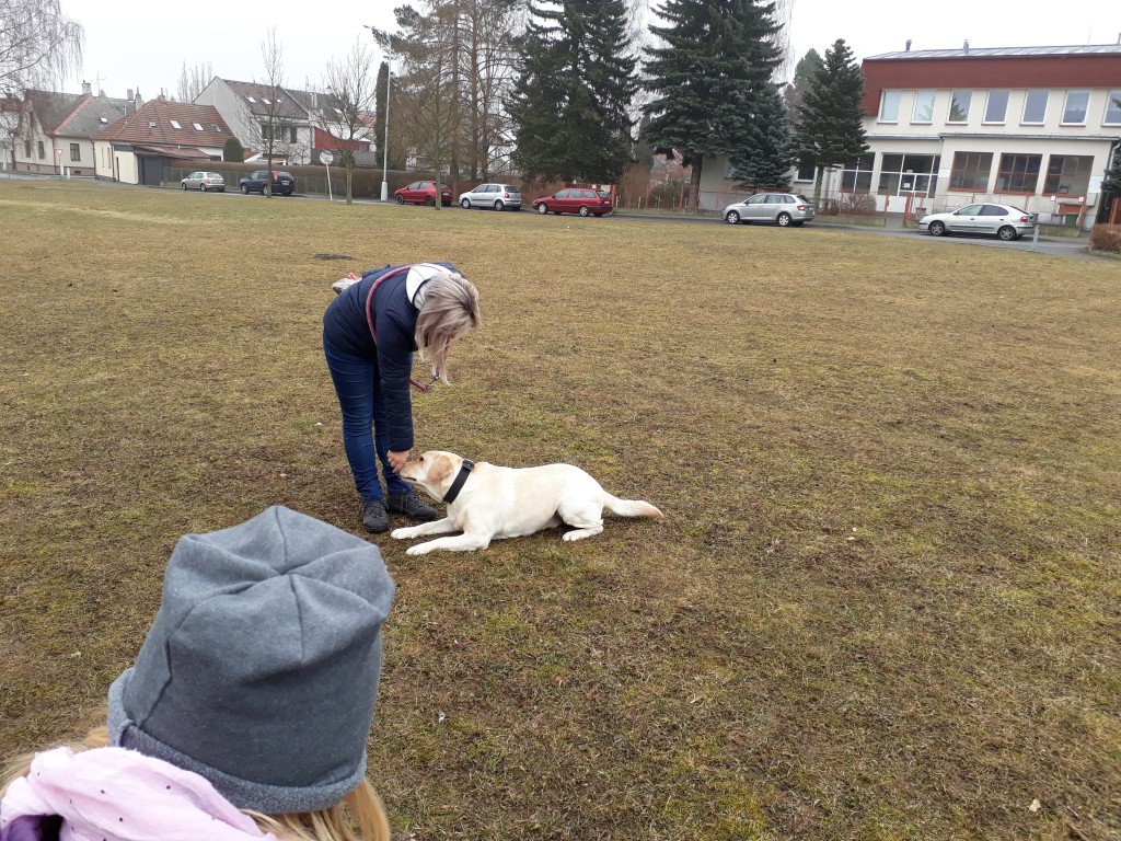 20180327_083707.jpg