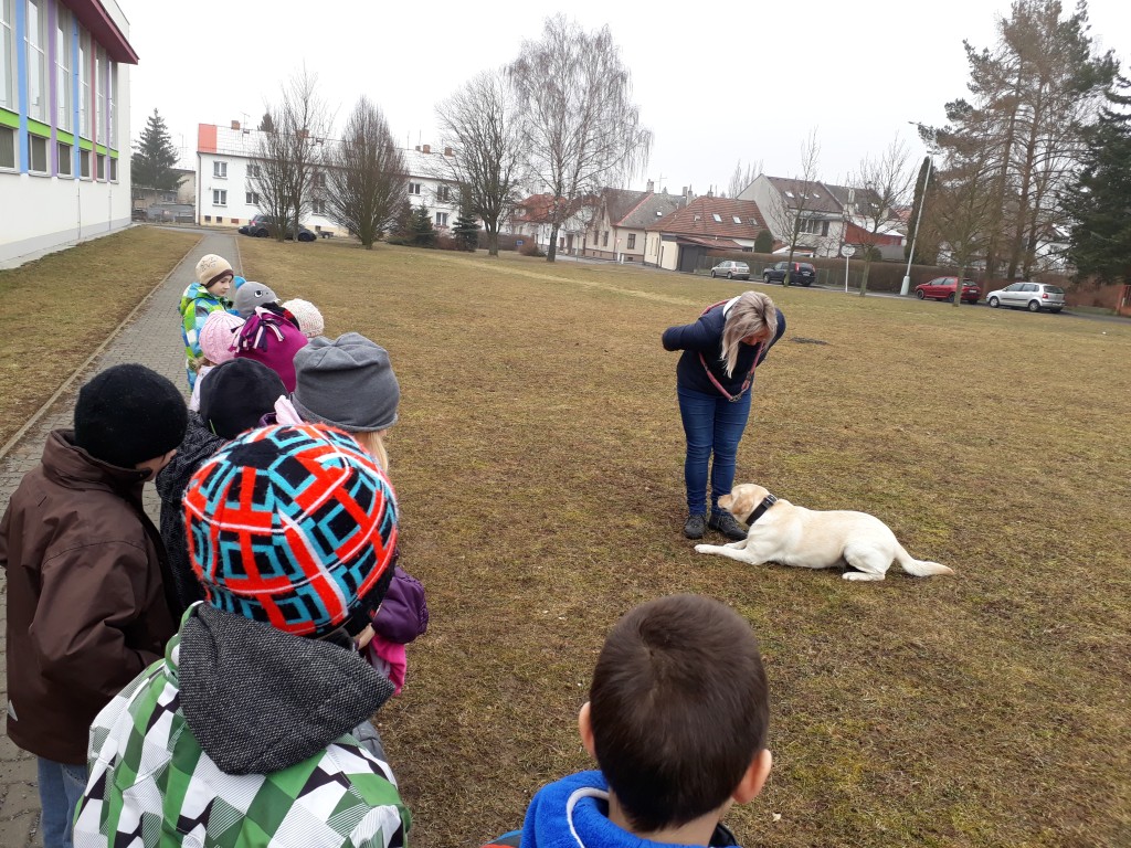 20180327_083713.jpg