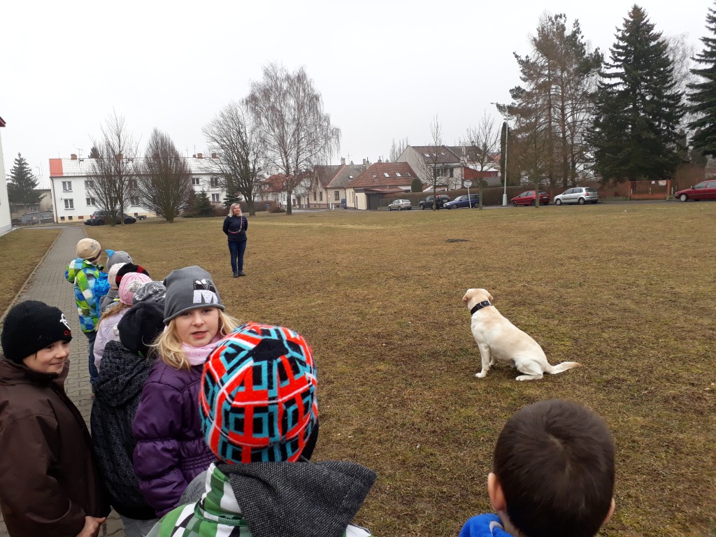 20180327_083747.jpg
