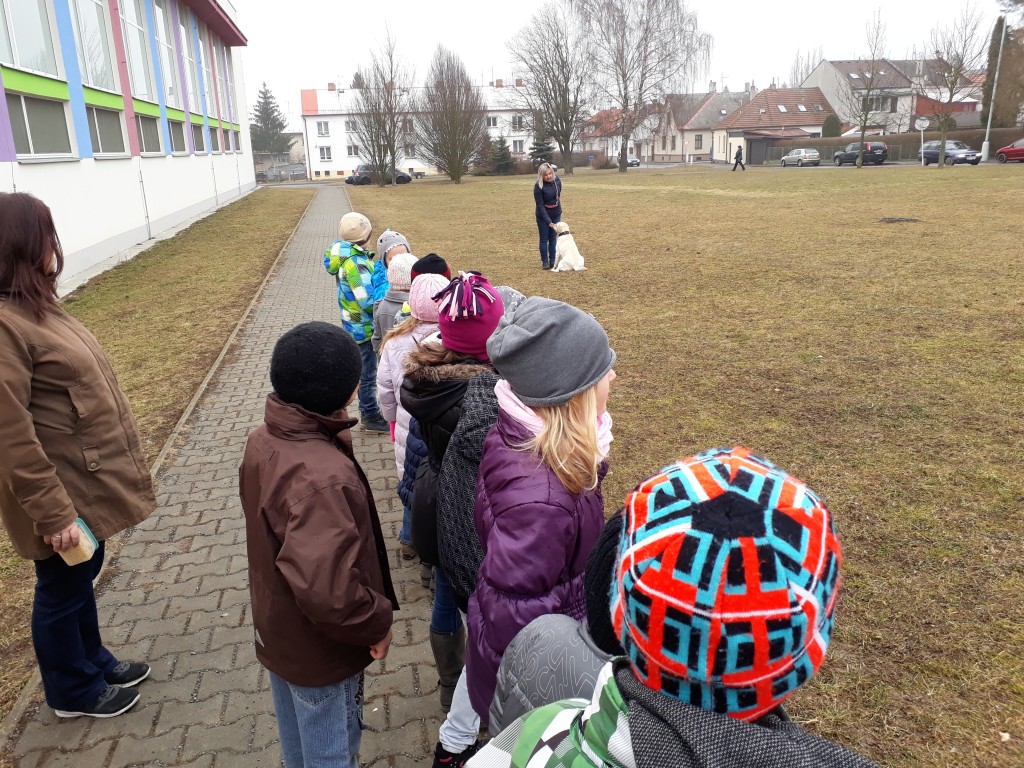 20180327_083753.jpg