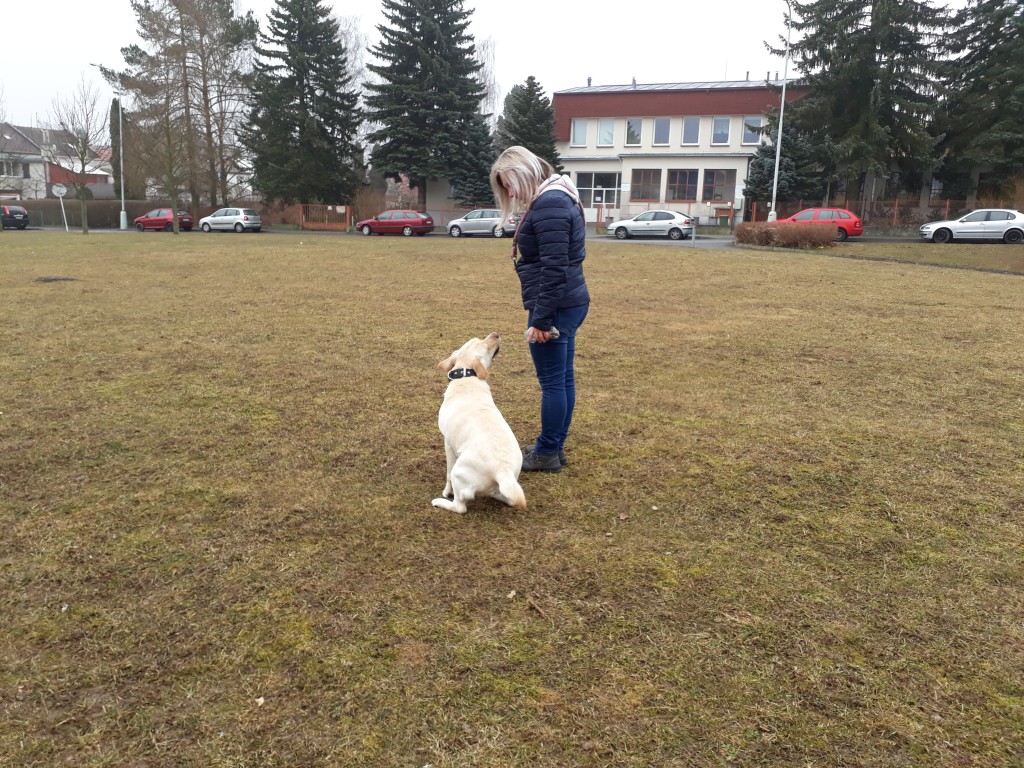 20180327_083915.jpg