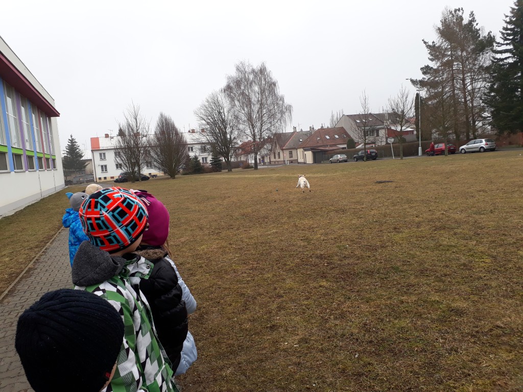20180327_083924(0).jpg
