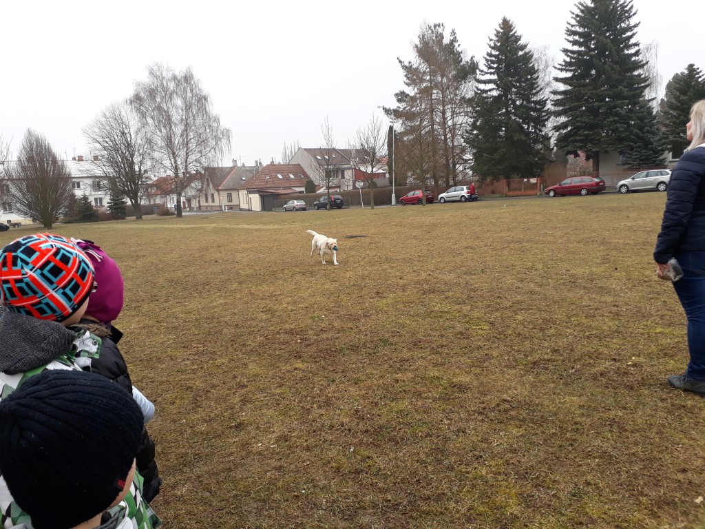 20180327_083930.jpg