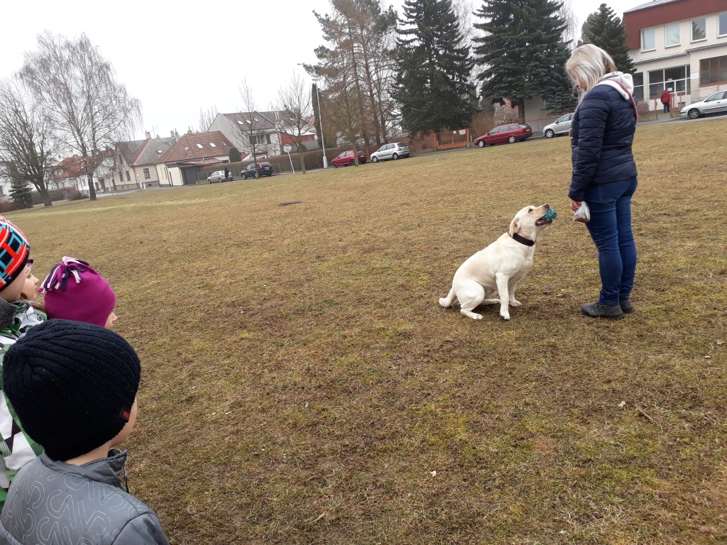 20180327_083958.jpg