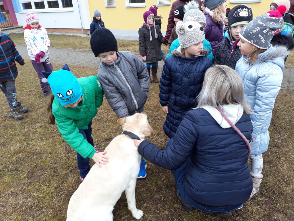 20180327_084349.jpg