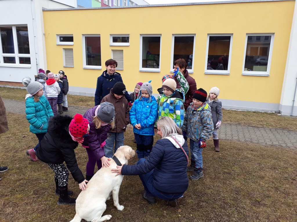 20180327_084430.jpg