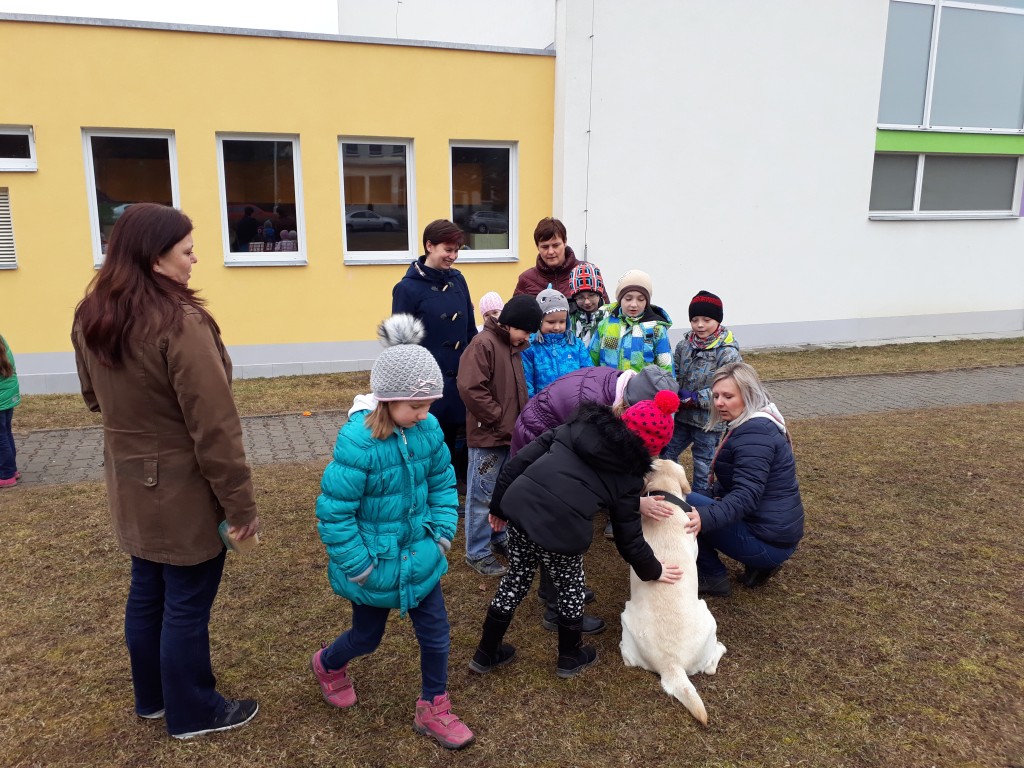 20180327_084435.jpg